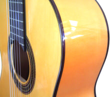 Cargar imagen en el visor de la galería, Marce FLAMENCO 2