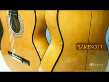 Cargar y reproducir el video en el visor de la galería, Marce FLAMENCO 1