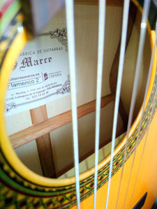 Marce FLAMENCO 2